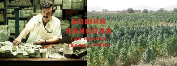 дурь Белоозёрский
