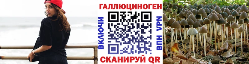 где найти   Волчанск  Галлюциногенные грибы MAGIC MUSHROOMS 